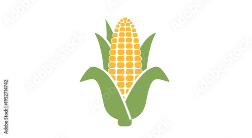 Vibrant and simplified illustration of fresh corn on the cob, a healthy food option