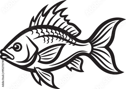 Monochromatic detailed illustration of a fish with scales and fins