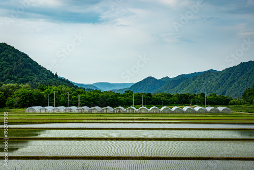 南会津町・田植え直後の水田とビニールハウスが並ぶ初夏の風景