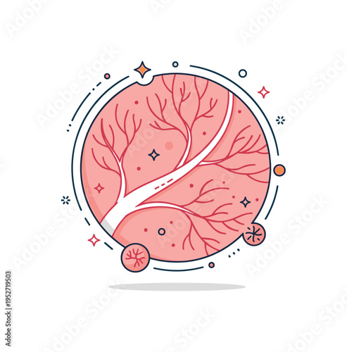 Capillary network detail represented by a close-up circular frame containing fine branching vessels connecting arteries and veins, symbolizing microcirculation