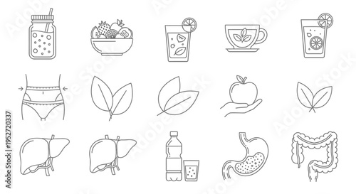 health and wellness line icons illustrating healthy diet weight loss and digestive health concepts for nutrition apps