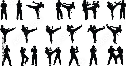 Black silhouette illustration showing martial arts practitioners performing stances, kicks, and sparring movements, representing discipline, physical training, 