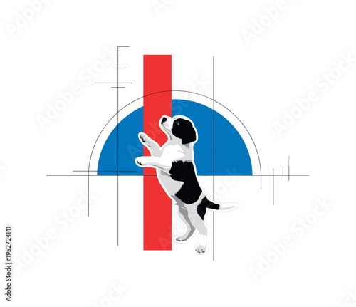 Black and white puppy standing on hind legs reaching upward, bold red vertical bar intersecting composition, blue semicircle behind to create contrast and