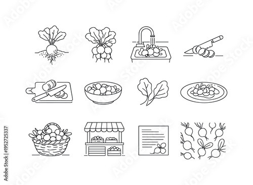 Radish Harvest and Preparation. Minimalistic set one-line drawing pulled radish with soil, bunch of radishes, kitchen sink wash, knife slicing radish, cutting