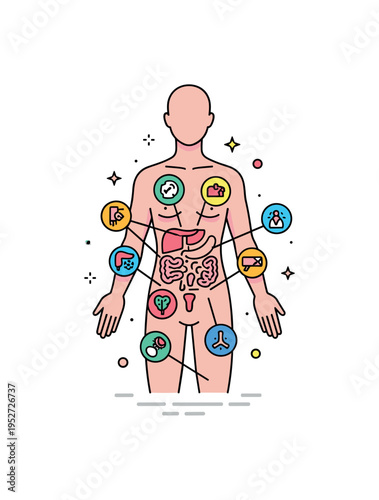 Human anatomy overview featuring a simplified front-facing body silhouette with small highlighted organ icons arranged harmoniously around the torso,