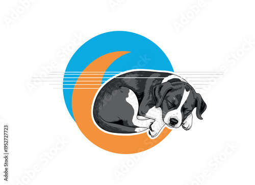 Black and white sleeping puppy curled into a soft shape, bright blue circular backdrop and orange crescent shape echoing comfort and warmth, abstract thin