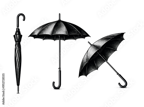 Classic long umbrella, a realistic long umbrella displayed closed upright, open upright, and angled open as three object views with correct shaft and rib