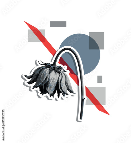 Black and white wilted flower bending downward, oversized muted blue circle behind the upper stem, sharp red diagonal stripe creating dynamic contrast,