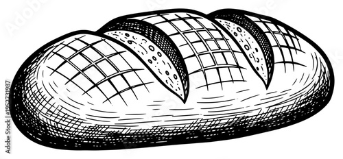 Fresh loaf of baked bread in detailed vintage engraving style