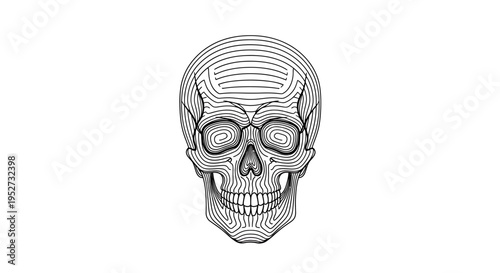 Vector human skull illustration, black and white line art