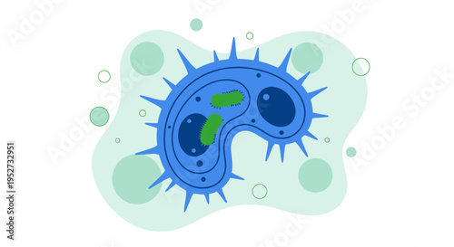 Abstract illustration of a blue bacterium with green internal structures on a light green background