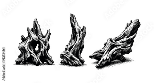 Driftwood twisted root fragment depicted from front view, side view, and diagonal angle as one irregular organic wood piece shaped by water and time. Black and