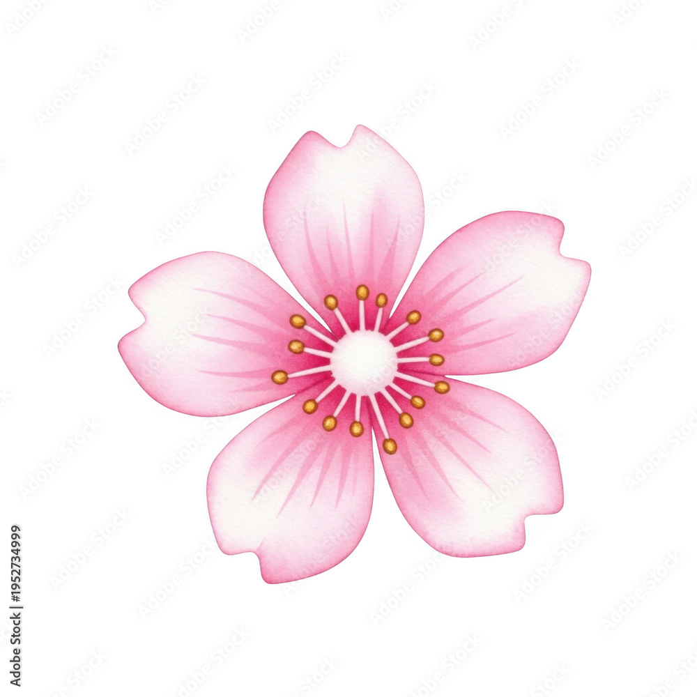 Fototapeta premium A delicate pink flower with soft petals and a white center, symbolizing grace and beauty. isolated on transparent background