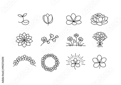 Floral Growth and Blooming. Minimalistic set one-line drawing seed sprouting flower, half opened bud, fully opened flower, layered petal bloom, floral mandala