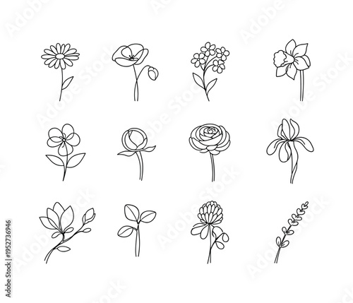 Wild Spring Flowers. Minimalistic set one-line drawing oxeye daisy, field poppy, forget-me-not cluster, daffodil trumpet flower, violet blossom, peony bud,