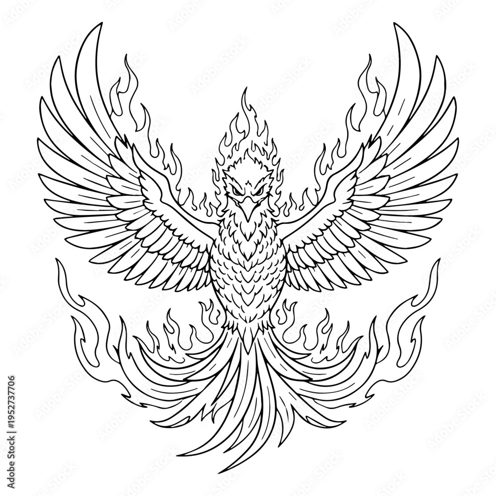 Fototapeta premium Legendary Rebirth Phoenix Line Art – Phoenix Vector Illustration with Balanced Mythic Flow – Phoenix Drawing – Line Art Drawing of Phoenix – Phoenix Icon