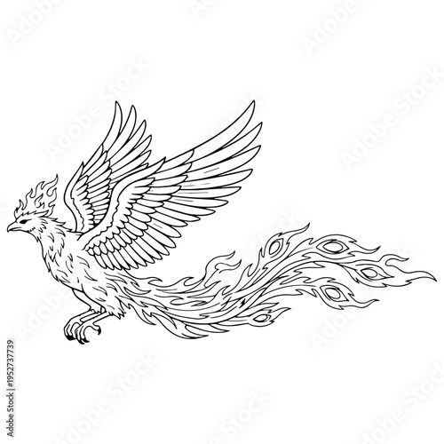 Mythical Firebird Phoenix Line Art – Phoenix Vector Outline Drawing with Smooth Feather Detailing – Phoenix Drawing – Vector of Phoenix – Phoenix Sketch