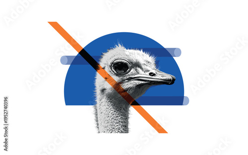 Black and white close-up of ostrich head with expressive eye and textured feathers, bold cobalt blue semicircle framing the head, sharp orange diagonal line