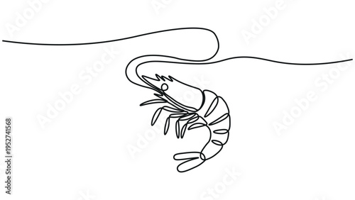 A stylized line drawing of a shrimp with a curled tail and antennae.