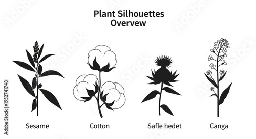 Botanical silhouettes of agricultural oilseed and fiber crops: Sesame, Cotton, Safflower, and Canola.
