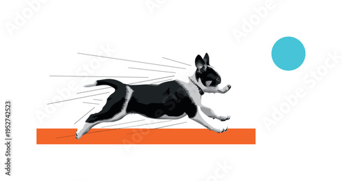 Black and white puppy running across frame from left to right, bold orange rectangular path beneath paws, turquoise circular accent near upper corner for