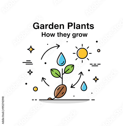 Garden plants and how they grow featuring a simple seed sprouting into a small plant with sun and water droplets around it, explaining plant life cycles in a