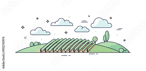 Morning mist in the vineyard soft cloud shapes drifting above evenly spaced vine rows on rounded hills. A peaceful compact scene evoking freshness and early