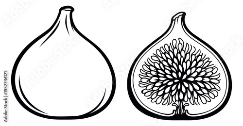 Hand drawn line art fig set featuring a whole fruit and a sliced half for healthy food design