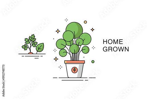 Parsley herb garden scene illustrated through a simple pot with lush rounded leaves growing upward. A subtle ?Home Grown? text accent conveys organic lifestyle