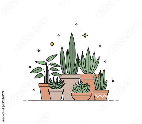 Minimal home jungle design illustrated by layered potted plants of varying heights arranged in a compact grouping, expressing lush greenery within small