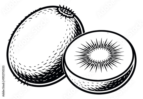 Hand drawn line art kiwi set featuring a whole and a sliced kiwi fruit for healthy eating concepts