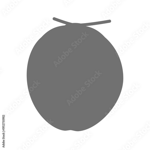 ココナッツのシンプルな白黒アイコン フラットな果物イラスト