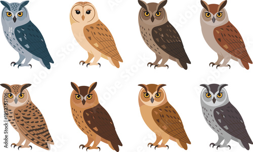Owl birds vector illustration collection, colorful nocturnal wildlife characters set with different owl species isolated decorative nature design artwork