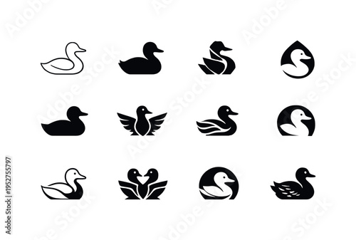 waterfowl. Icon set. Set Logo of waterfowl: duck silhouette. harmonious logo variations of the same emblematic concept, each with different artistic