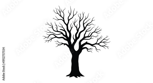 Bare tree branches against a white background a stark silhouette