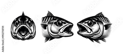 Mackerel head, detailed mackerel head with open mouth and visible gill covers shown from front view, side profile, and three-quarter angle with realistic