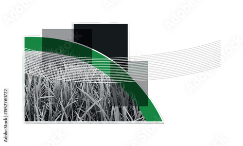 Monochrome close-up of grass blades intersected by a bold green arc and thin horizontal stripes suggesting wind motion, abstract rectangular overlays creating