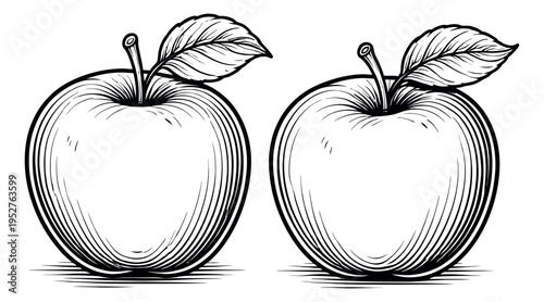 Woodcut style apple set featuring two fresh fruits for healthy eating designs