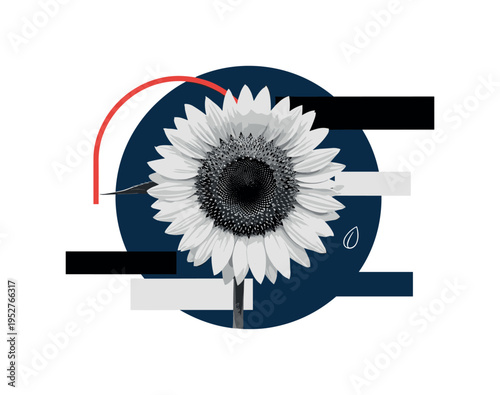 Black and white sunflower facing forward with dark center emphasized, oversized navy circle framing entire flower, thin red arc echoing petal curvature,