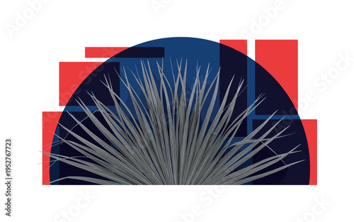 monochrome dried grasses fanning outward in organic pattern, deep blue semicircle rising behind and red rectangular elements overlapping edges, abstract flat