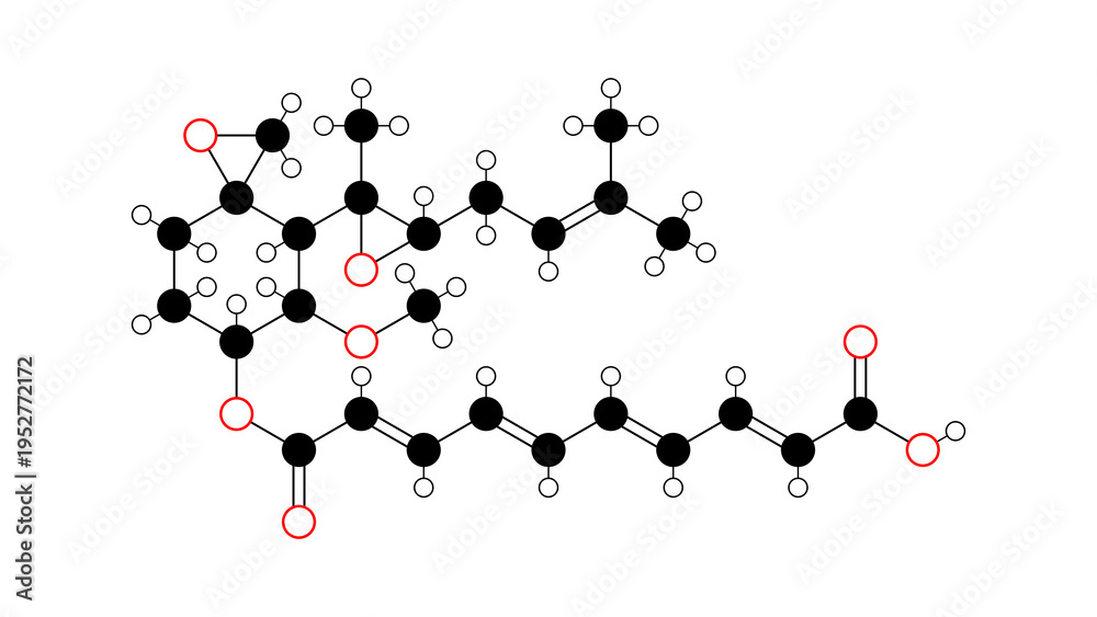 Naklejka premium fumagillin molecule, structural chemical formula, ball-and-stick model, isolated image antibiotic agent