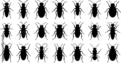 Insect silhouettes collection featuring beetles flies and bugs isolated on white background, detailed set of crawling insects for nature and biology design