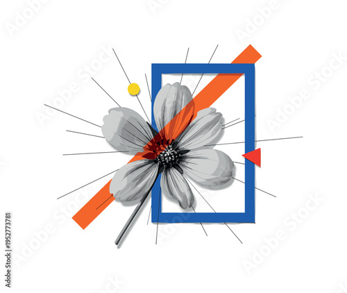 Black and white flower photographed in high contrast, oversized blue geometric frame partially cropping petals, orange diagonal bar cutting across composition,