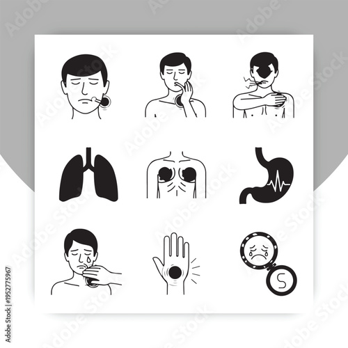 Isolated Human Digestive System Anatomy Diagram with Labeled Organs – Stomach, Intestines, Liver, Pancreas Medical Illustration