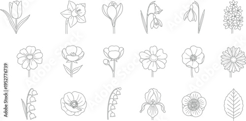 A charming assortment of simple outline illustrations depicting beautiful spring and summer blossoms, including tulips, daffodils, and lilies, perfect for elegant vector graphics.