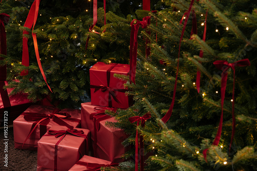 Beautiful Christmas tree indoors with red coloured presents under