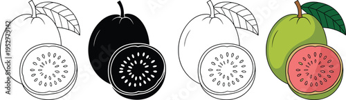 Guava Fruit Collection: Outline Silhouette and Color Styles on White Background