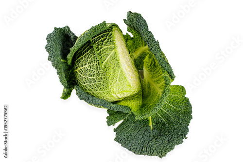 Half savoy cabbage isolated on white background