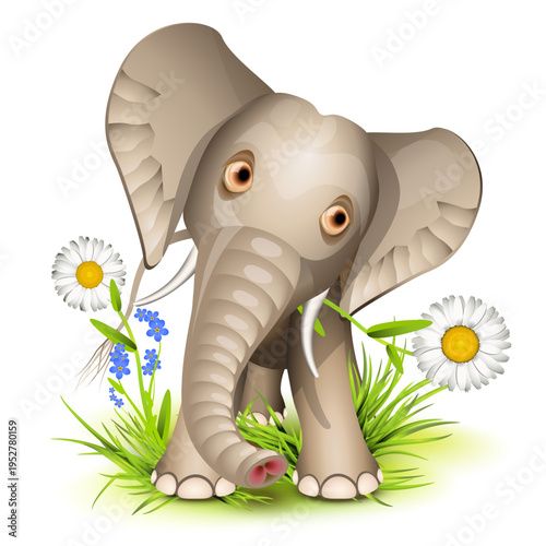 Little elephant standing on grass