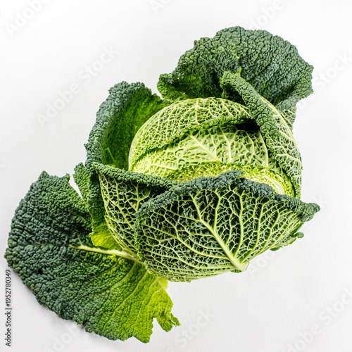 Savoy cabbage isolated on white background